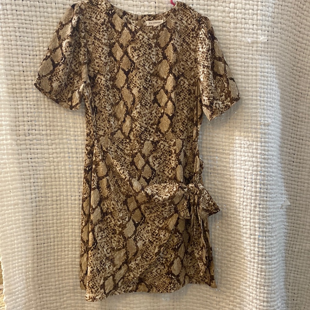 Snakeskin Dress